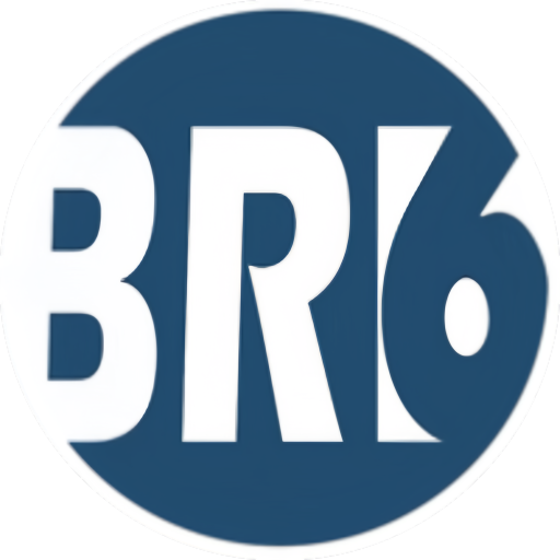 Novo logo da br6